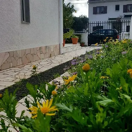 Branco Lima * Sintra